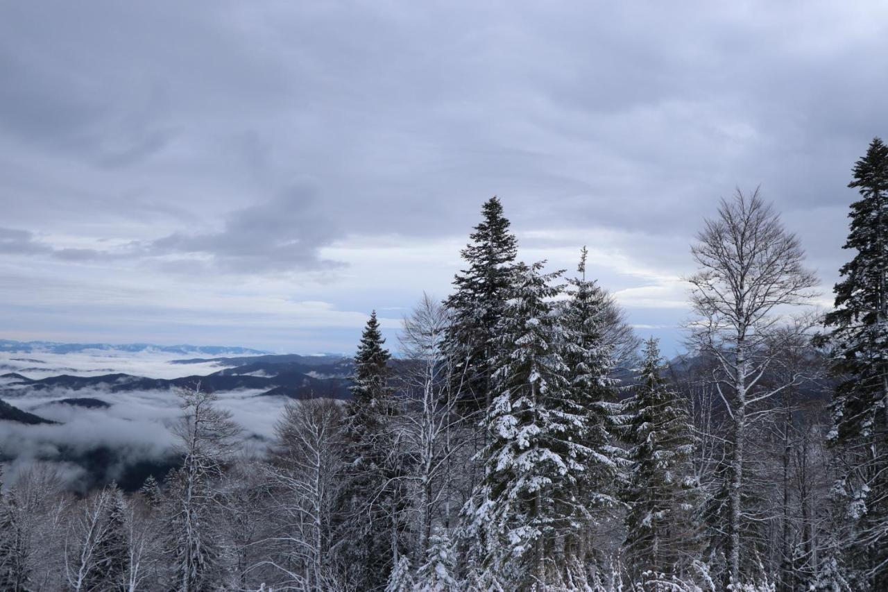 Apartmani Vidik - Groodvy House Jahorina Kültér fotó